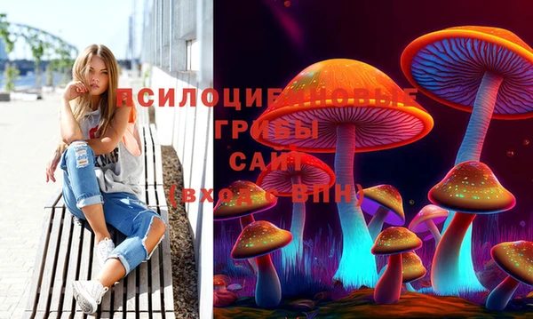 PSILOCYBIN Белокуриха